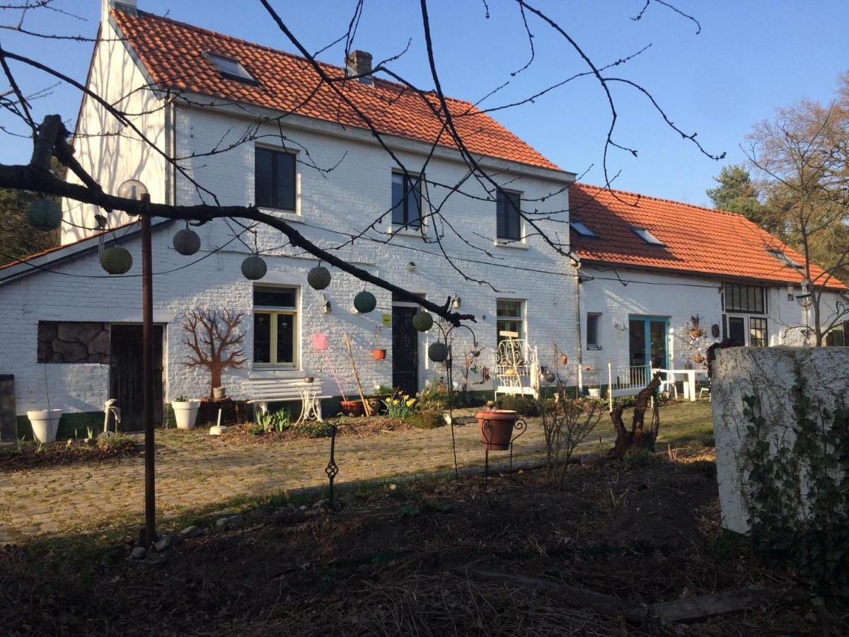 Slaaphuisje Het Vliegend Varken Genk Exterior foto